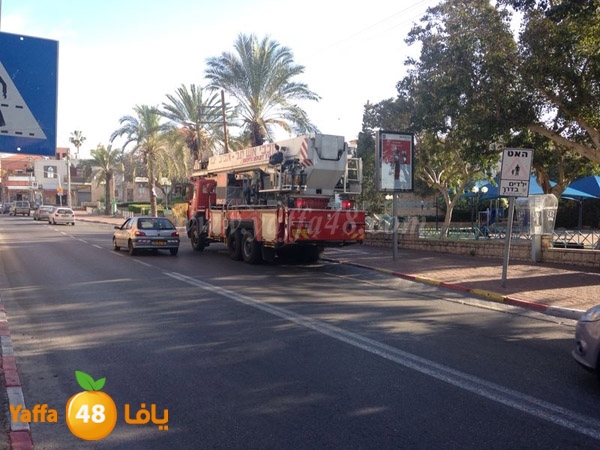 fire 3ajami 0407 (4).jpg